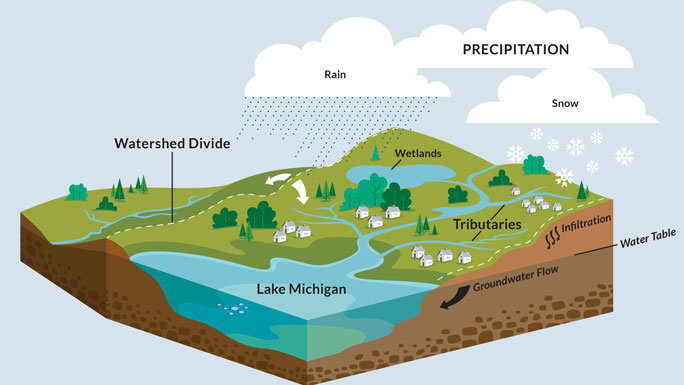 diagram showing how watersheds work